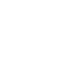 lg (1)